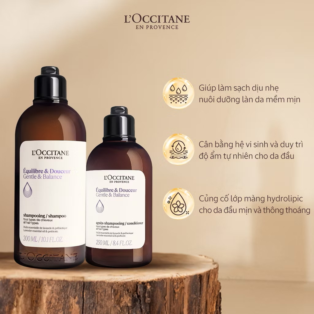 ￼Combo Gội Xả L'OCCITANE Gentle & Balance Dành Cho Mọi Loại Da Đầu 250ml Và 300ml 